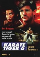 Karate tiger 6: Nejlepší z nejlepších 2