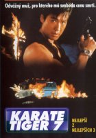 Karate tiger 7: Nejlepší z nejlepších 3