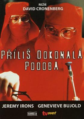 Plakát: Příliš dokonalá podoba