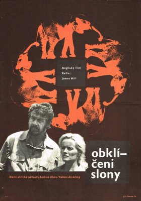 Plakát: Obklíčeni slony