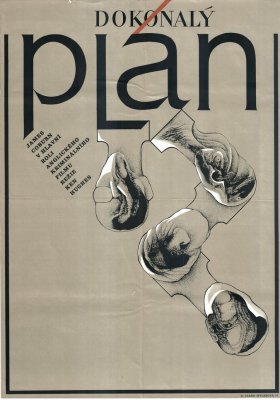Plakát: Dokonalý plán