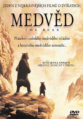 Plakát: Medvěd