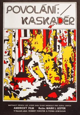 Plakát: Povolání: kaskadér