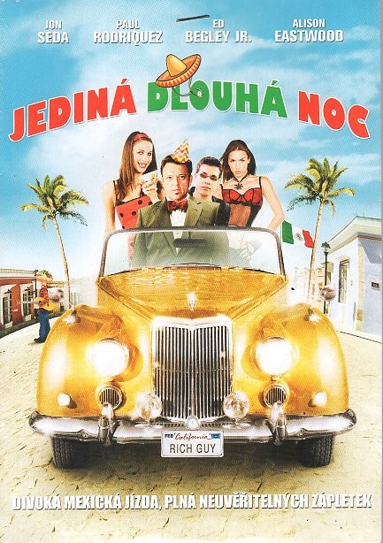 Plakát: Jediná dlouhá noc