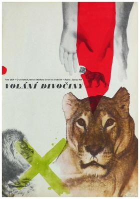 Plakát: Volání divočiny