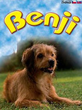Plakát: Benji