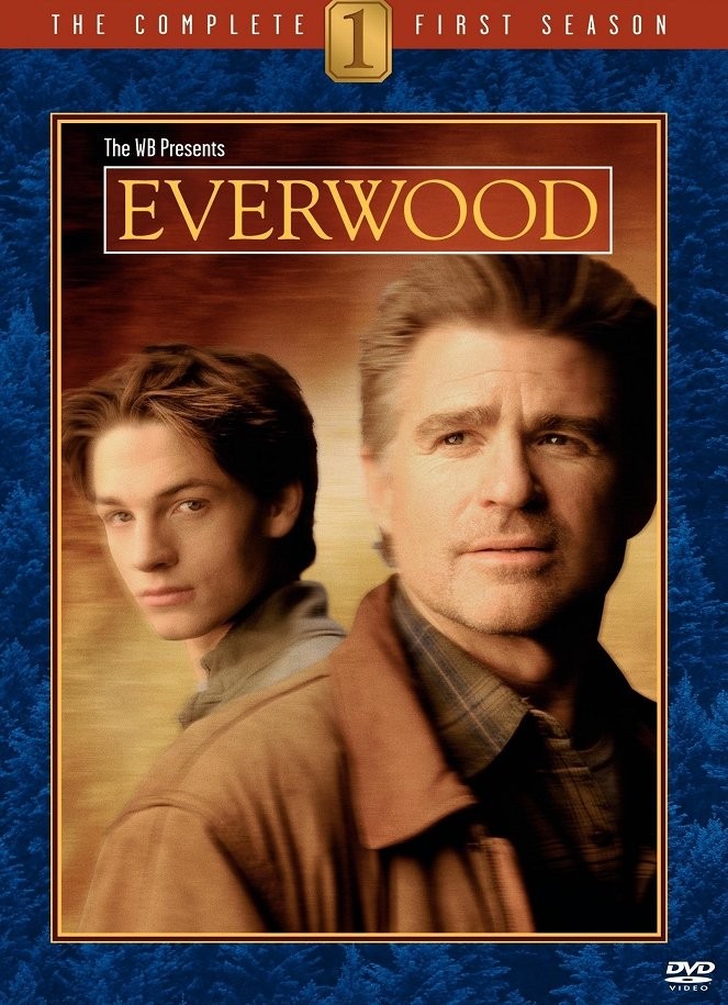 Plakát: Everwood [1.série]