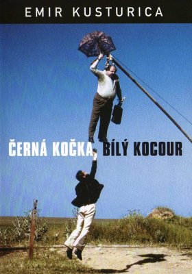 Plakát: Černá kočka, bílý kocour