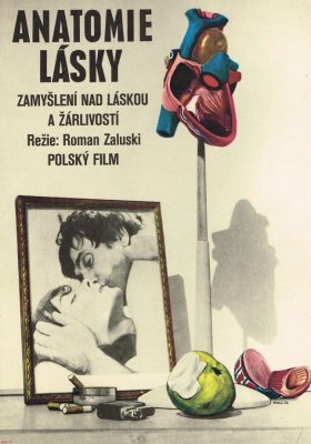 Plakát: Anatomie lásky
