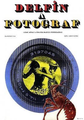 Plakát: Delfín a fotograf