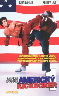 Plakát: Americký kickboxer
