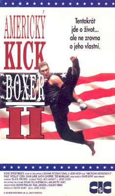 Plakát: Americký kickboxer II