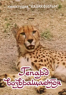 Plakát: Gepard se vrací