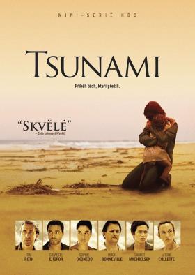 Plakát: Tsunami: Následky