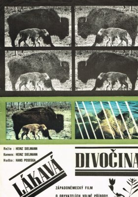 Plakát: Lákavá divočina