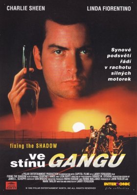 Plakát: Ve stínu gangu