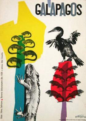 Plakát: Galapagos