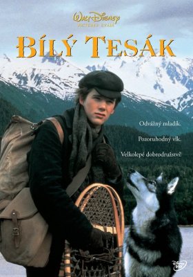 Plakát: Bílý tesák