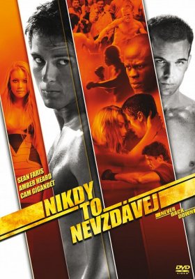 Plakát: Nikdy to nevzdávej