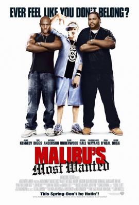 Plakát: Nejhledanější v Malibu