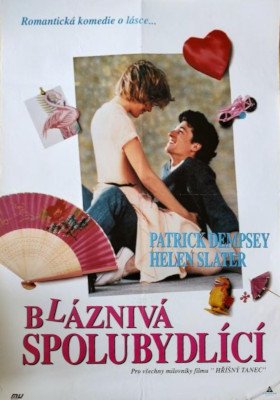Plakát: Bláznivá spolubydlící