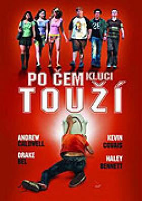 Plakát: Po čem kluci touží?
