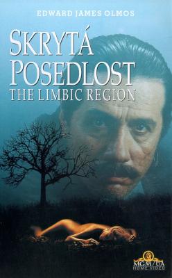 Plakát: Skrytá posedlost