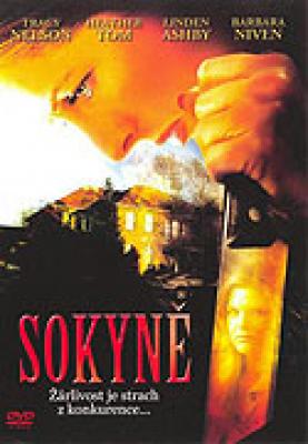 Plakát: Sokyně