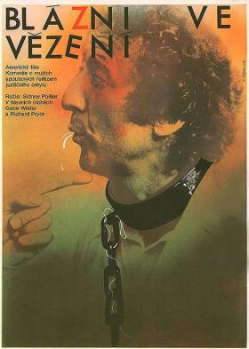 Plakát: Blázni ve vězení