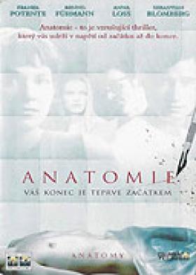 Plakát: Anatomie