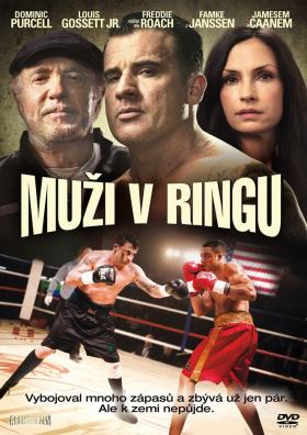 Plakát: Muži v ringu