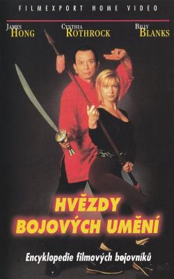 Plakát: Hvězdy bojových umění