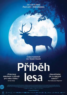 Plakát: Příběh lesa