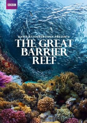 Plakát: David Attenborough: Velký bariérový útes