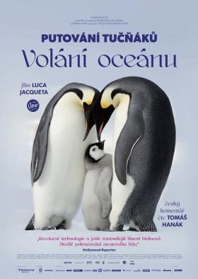 Plakát: Putování tučňáků: Volání oceánu