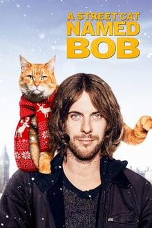 Plakát: Kocour Bob