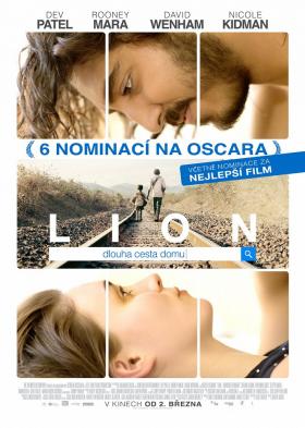 Plakát: Lion