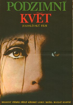 Plakát: Podzimní květ