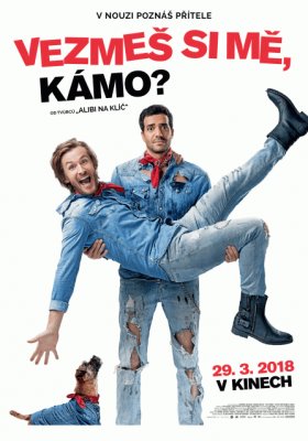 Plakát: Vezmeš si mě, kámo?