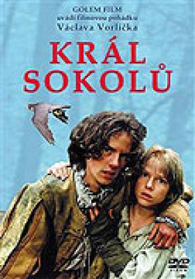 Plakát: Král sokolů