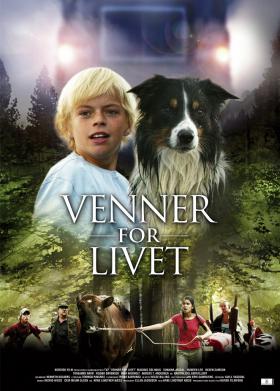 Plakát: Hledání přátel