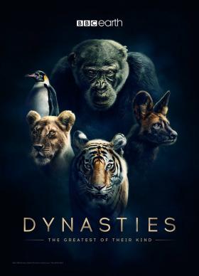 Plakát: David Attenborough: Zvířecí dynastie [1.série]