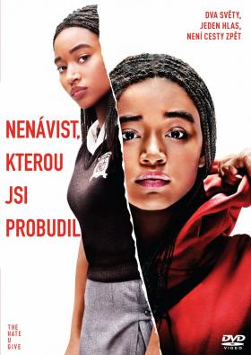 Plakát: Nenávist, kterou jsi probudil