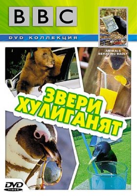 Plakát: Ach ta zvířata!