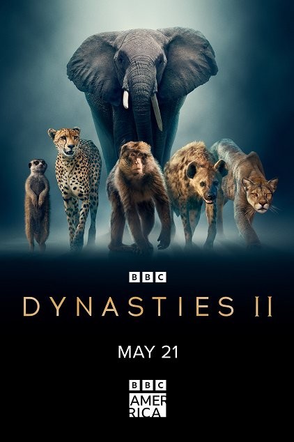 Plakát: David Attenborough: Zvířecí dynastie [2.série]