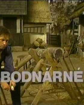 Plakát: Matka rodiny Bodnárů