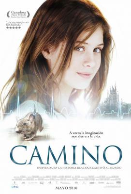Plakát: Camino