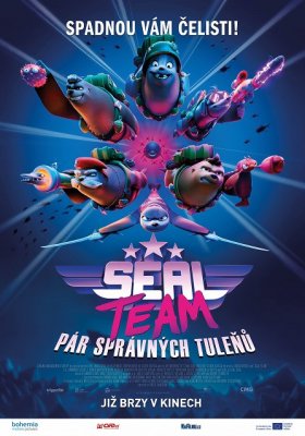 Plakát: Seal Team: Pár správných tuleňů