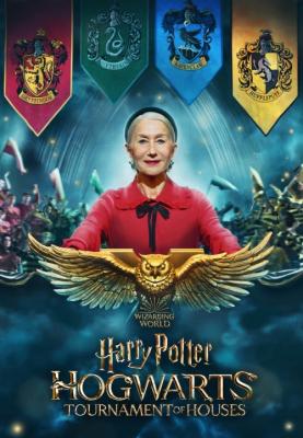 Plakát: Harry Potter: Bradavický turnaj čtyř kolejí