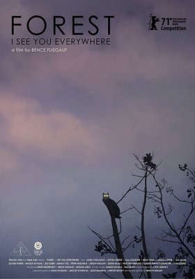 Plakát: Les - vidím tě všude